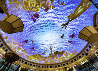 The Power of Two: Projected Ceiling at Das Schloss Ventures to New Depths