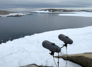 700 People Tell DPA Microphones A Story