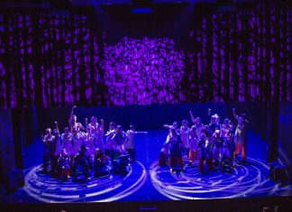 Theater Akzent Chooses Robe DL Series