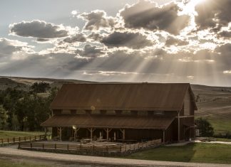 Unique Montana Arts Centre Blends Art and Nature with Alcons