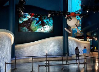 PixelFLEX™ Goes Deep into the Ocean at Moody Gardens Aquarium Pyramid