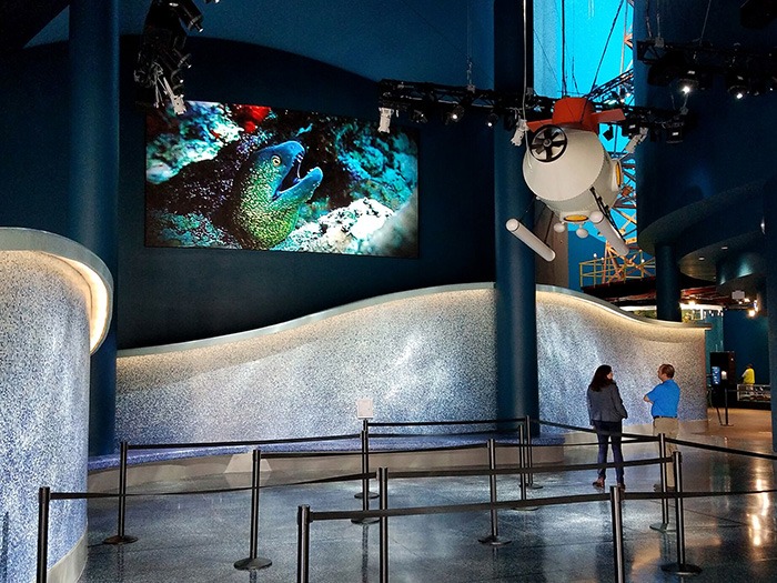 Pixelflex Goes Deep Into The Ocean At Moody Gardens Aquarium