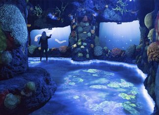 Chauvet Colours Ocean Odyssey