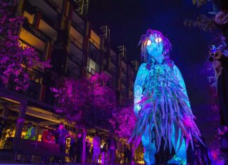 Mandylights Transforms Wulugul Walk with Christie