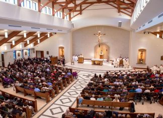Saint Pius Tenth Church Renews with Fulcrum Acoustic