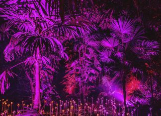 360 CHAUVET Professional Fixtures Create Immersive NightGarden