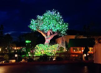 Elation Shares in Magic of Dollywood Wildwood Grove Tree