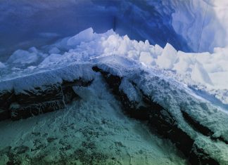 LEA Professional Helps take Canada Goose Retail Customers on an Audio/Visual Journey