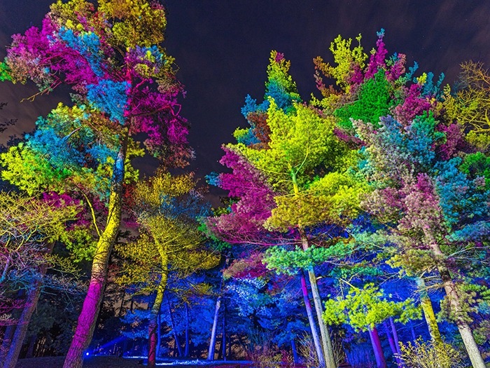 Over 700 Elation lights for Tree Lights at The Morton Arboretum MONDODR