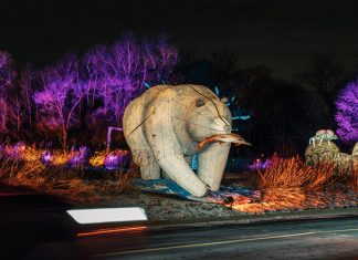 Legacy, Elation and Obsidian team up for Nature Illuminated at Minnesota Zoo
