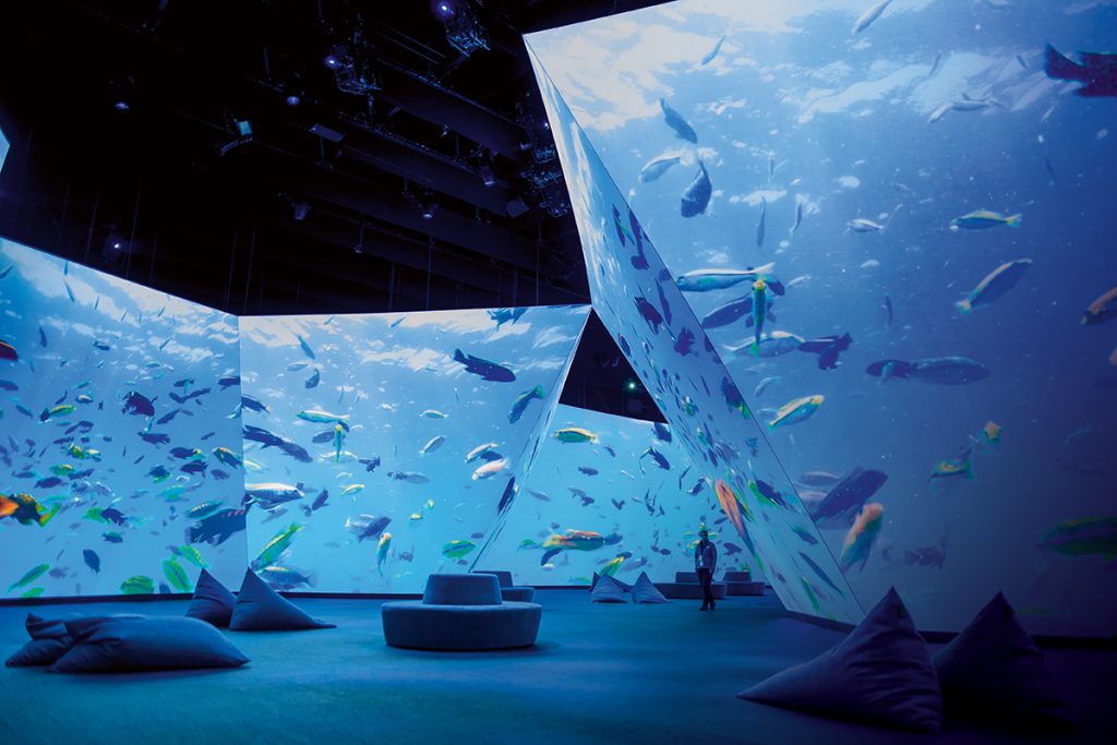 BBC Earth Experience