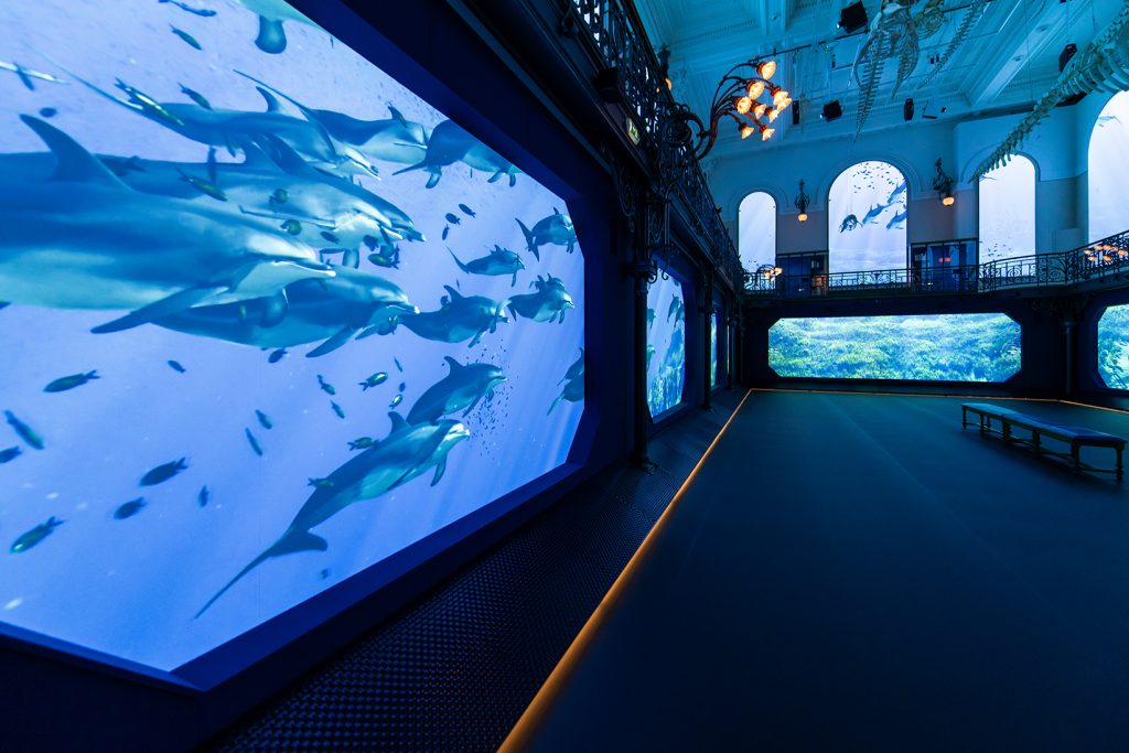 The Oceanographic Museum