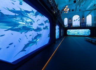 The Oceanographic Museum