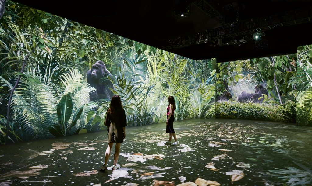 Our Story with David Attenborough
