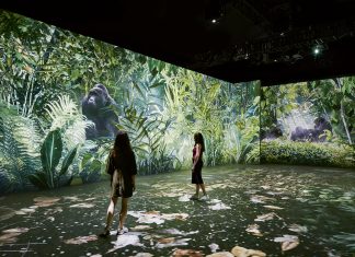 Our Story with David Attenborough