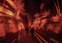 Ghost Boat Dells Ghost Boat_2 Large