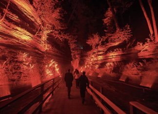 Ghost Boat Dells Ghost Boat_2 Large