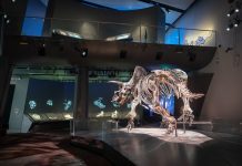 Genelec brings history to life at Melbourne Museum