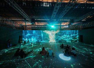 Synergy Technologies orchestrates a dazzling projection mapping triumph in India