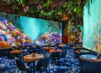 Modulo Pi media servers bring Ephemera’s immersive dining experiences to life