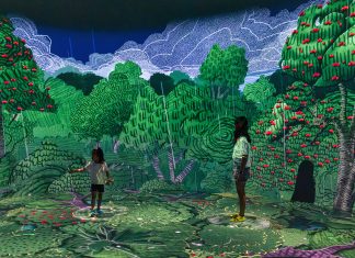 Curiosity Cove at Mandai Wildlife Reserve